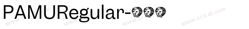 PAMURegular字体转换