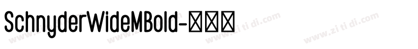 SchnyderWideMBold字体转换