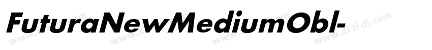 FuturaNewMediumObl字体转换