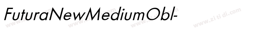 FuturaNewMediumObl字体转换