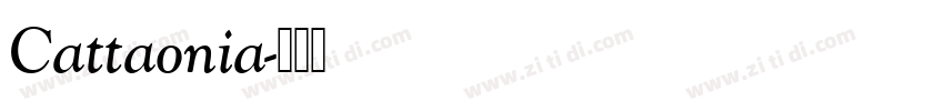 Cattaonia字体转换