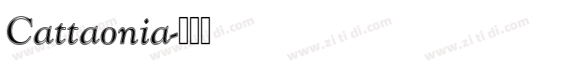 Cattaonia字体转换
