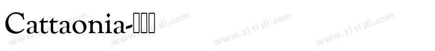 Cattaonia字体转换