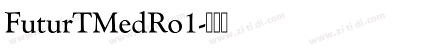 FuturTMedRo1字体转换