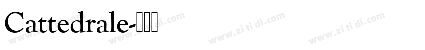 Cattedrale字体转换