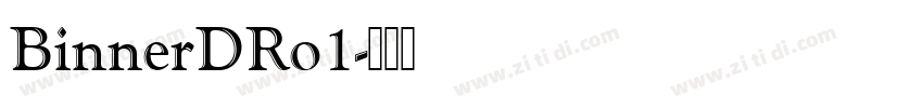 BinnerDRo1字体转换