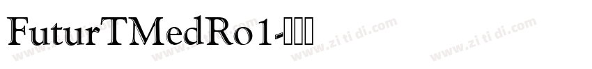 FuturTMedRo1字体转换