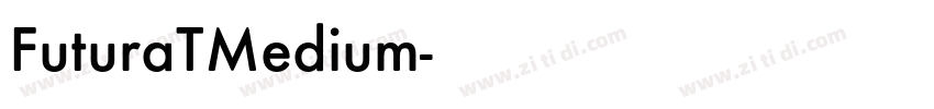 FuturaTMedium字体转换 FuturaTMedium字体转换