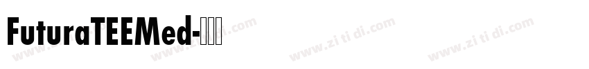 FuturaTEEMed字体转换