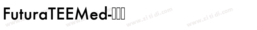 FuturaTEEMed字体转换
