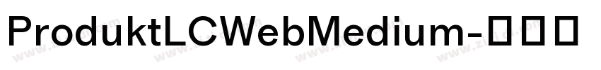 ProduktLCWebMedium字体转换