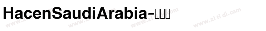 HacenSaudiArabia字体转换