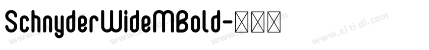 SchnyderWideMBold字体转换