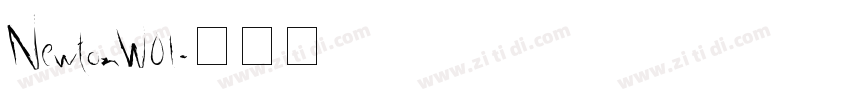 NewtonW01字体转换