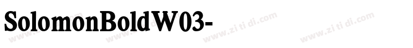 SolomonBoldW03字体转换