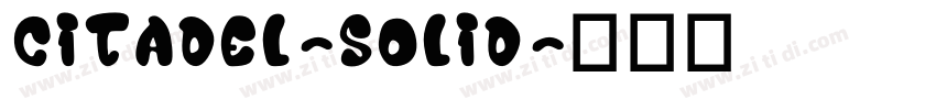 Citadel-Solid字体转换