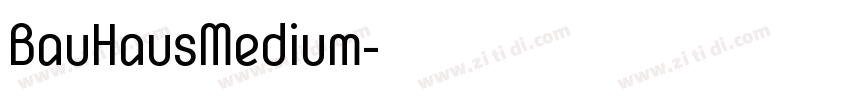BauHausMedium字体转换