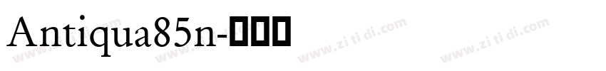 Antiqua85n字体转换