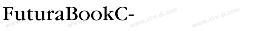 FuturaBookC字体转换