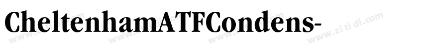 CheltenhamATFCondens字体转换