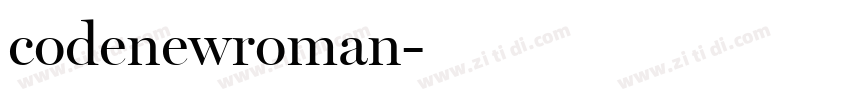 codenewroman字体转换