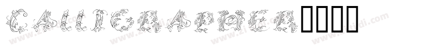 Calligrapher字体转换
