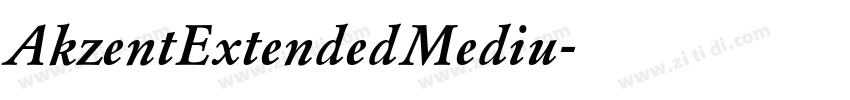 AkzentExtendedMediu字体转换