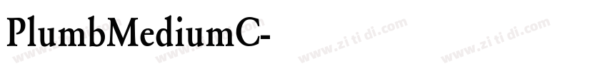 PlumbMediumC字体转换