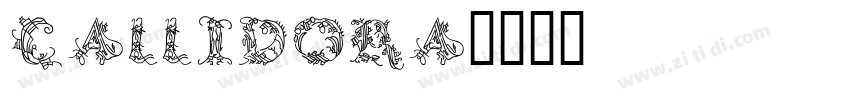 Callidora字体转换