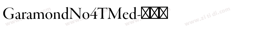GaramondNo4TMed字体转换