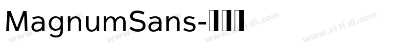 MagnumSans字体转换