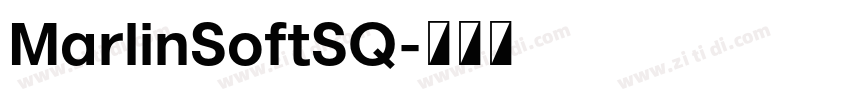 MarlinSoftSQ字体转换