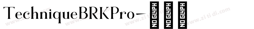 TechniqueBRKPro字体转换