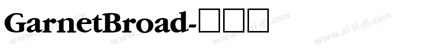 GarnetBroad字体转换