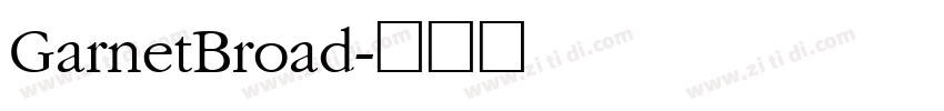 GarnetBroad字体转换