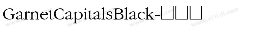 GarnetCapitalsBlack字体转换
