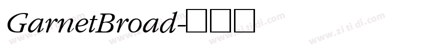 GarnetBroad字体转换