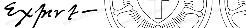 Expert字体转换