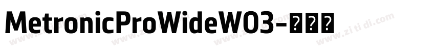 MetronicProWideW03字体转换 MetronicProWideW03字体转换