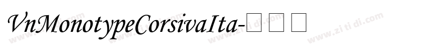VnMonotypeCorsivaIta字体转换