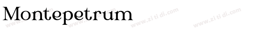 Montepetrum字体转换