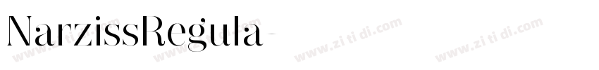 NarzissRegula字体转换