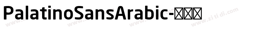 PalatinoSansArabic字体转换 PalatinoSansArabic字体转换