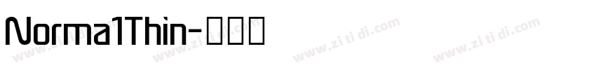 Norma1Thin字体转换