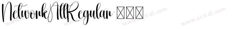 NetworkAltRegular字体转换