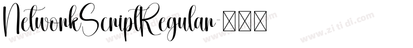 NetworkScriptRegular字体转换