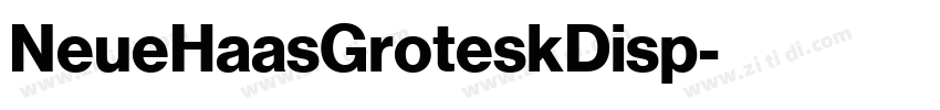 NeueHaasGroteskDisp字体转换