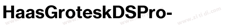 HaasGroteskDSPro字体转换