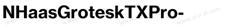 NHaasGroteskTXPro字体转换