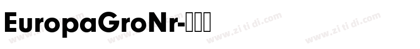 EuropaGroNr字体转换